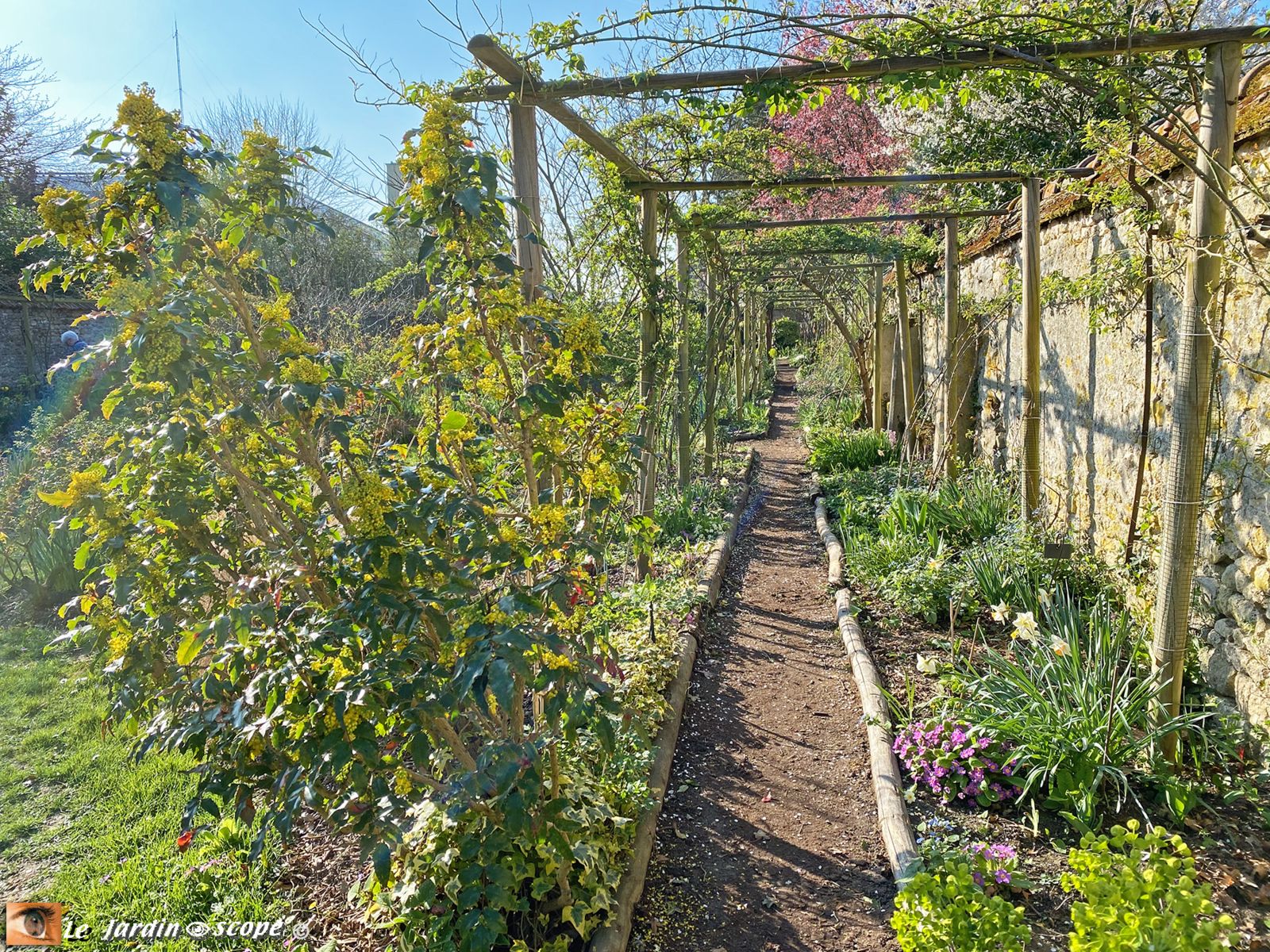 Jardin Personnel d'André Eve