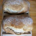 Ciabattas au levain