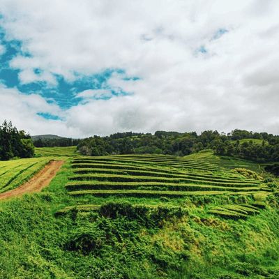 Découvrir Sapa au Vietnam : Quand, comment et que faire ?