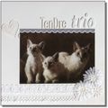 Tendre trio