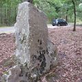 Un menhir complet dans l'Indre