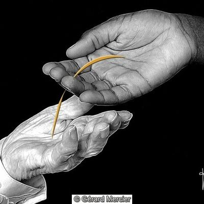 Gérard Mercier - LDS - 426 - "Soupe"