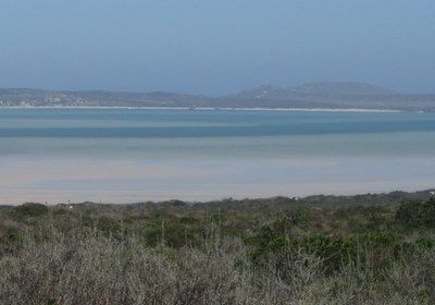 AFRIQUE DU SUD .Langebaan