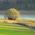 Balade vespérale et automnale au lac de l'Astarac 