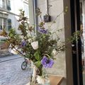 Le temps des fleurs - Hanami