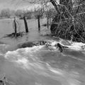 Photos en noir et blanc, crue de l'Aube.