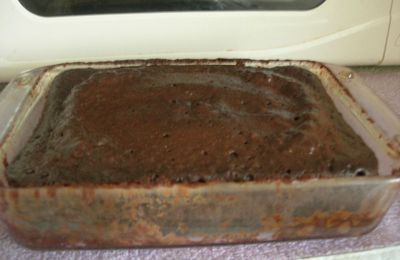 gateau au chocolat au micro-ondes