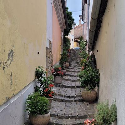 Jour 9 : Szentendre /visegrád (la boucle du Danube )