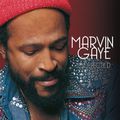 Marvin Gaye : Playup te propose ses chansons en version karaoké