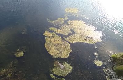 Loire en Octobre 2019