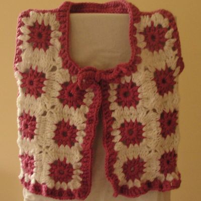 une gilet pour ma petite poule !