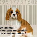 "Animalement correct"