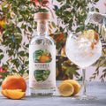 Atopia, Des coktails au goût du gin, l'alcool en moins