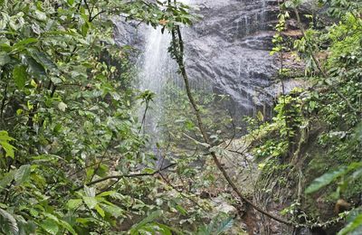 Dernière cascade de l'année ?