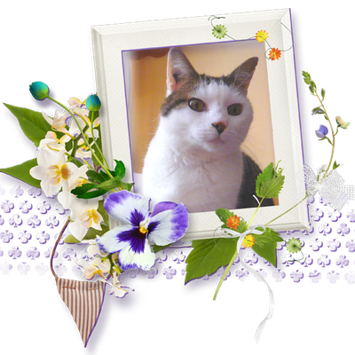 C'est mon anniversaire!