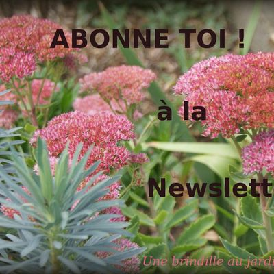 Abonnez-vous à la newsletter !