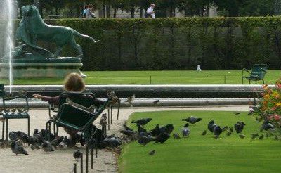 Jardin des Tuileries...