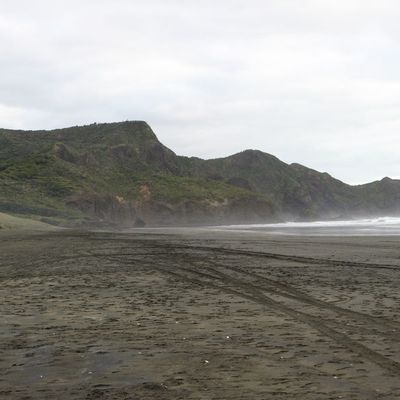 Te Henga et Zoo d'Auckland