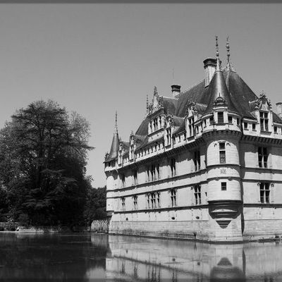 Les châteaux de la Loire #05