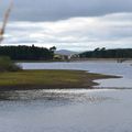 Gladhouse Reservoir, Mid-Lothian