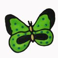 Papillon vert à pois