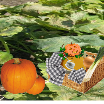 VELOUTE DE POTIRON AU THERMOMIX