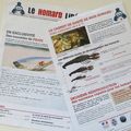 Des nouvelles de nos homards !