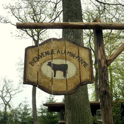 Zoo d’Amnéville : ouverture de la mini ferme !