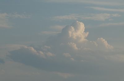 JUSTE UN PETIT COUCOU...