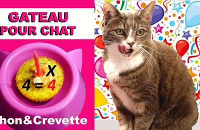 COUNILLE : mon CHAnniversaire