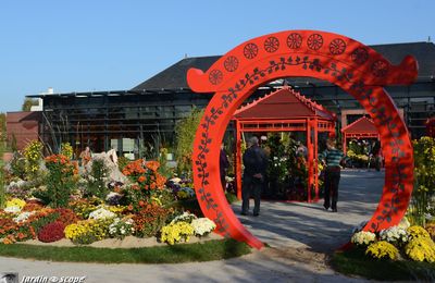 Rencontre d'automne autour des Chrysanthèmes