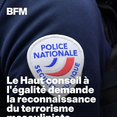 Terrorisme masculiniste