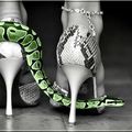 ≈ Je me tiens loin des serpents...≈