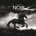 Noir - Une histoire dans la nuit