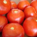 Step by Step : How to slow-roast Tomatoes ? Comment confire des Tomates ?