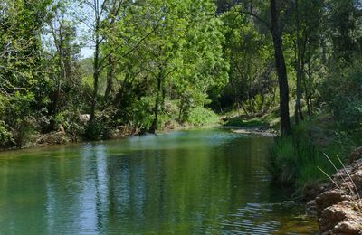 Rivière d'enfance