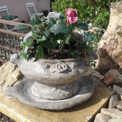 Ma marmite cimenté. Fini et fleuries.