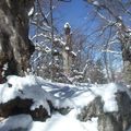 Randonnée printanière dans l'hiver de Gréolières