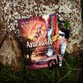 Anienda, Tome 1 : Vers un autre monde , d'Alexandre Streel 