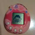 Les tamagotchis