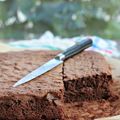 Le gâteau au chocolat 5mn chrono, 20mn de cuisson ! {recette}