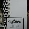 Mini "Capture life"