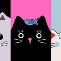 HIDEA offre des bonus de connexion aux joueurs de Cats & Soup