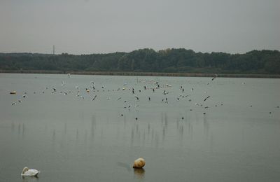 etang de St. Quentin