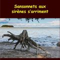 Sansonnets aux sirènes s'arriment, Pierre Thiry