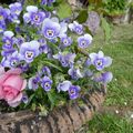 Le bouquet du vendredi