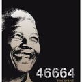  Nelson Mandela (article en relation avec celui sur "Goodbye Bafana")