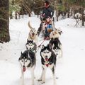 Protéger les Huskies