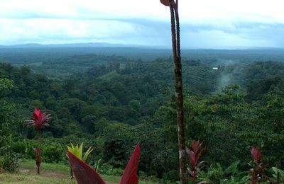 Sur la route de Cacao.