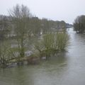 Ile sur la Loire